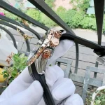 ساعت ادوکس (EDOX) مدل 01123357RCANBUR - تصویر 5